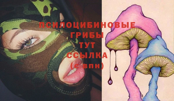 МДПВ Абаза